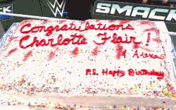 华体会官方平台下载-夏洛特在比赛中突然换帅，球队走势备受关注