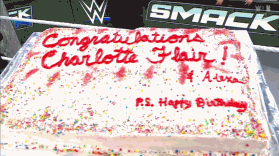 夏洛特在比赛中突然换帅,球队走势备受关注 夏洛特在比赛中突然换帅,球队走势备受关注